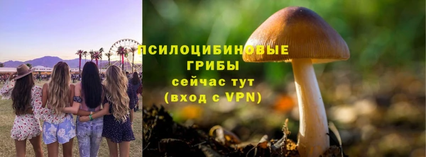 скорость mdpv Гусь-Хрустальный