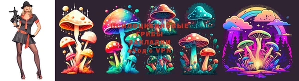 синтетический гашиш Дмитриев