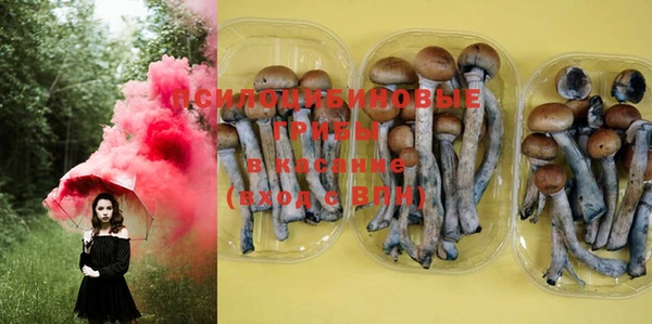 mdma Дмитровск