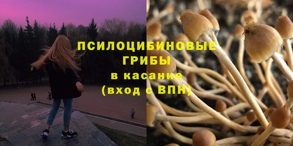 синтетический гашиш Дмитриев