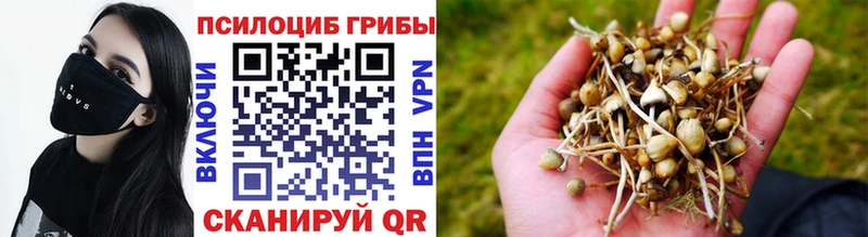 Купить закладки  Кулебаки  Псилоцибиновые грибы ЛСД 